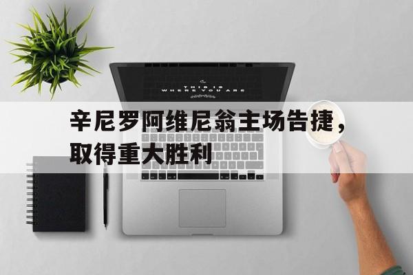 随机辛尼罗阿维尼翁主场告捷，取得重大胜利的简单介绍